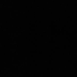 Meet your Posher, Paige